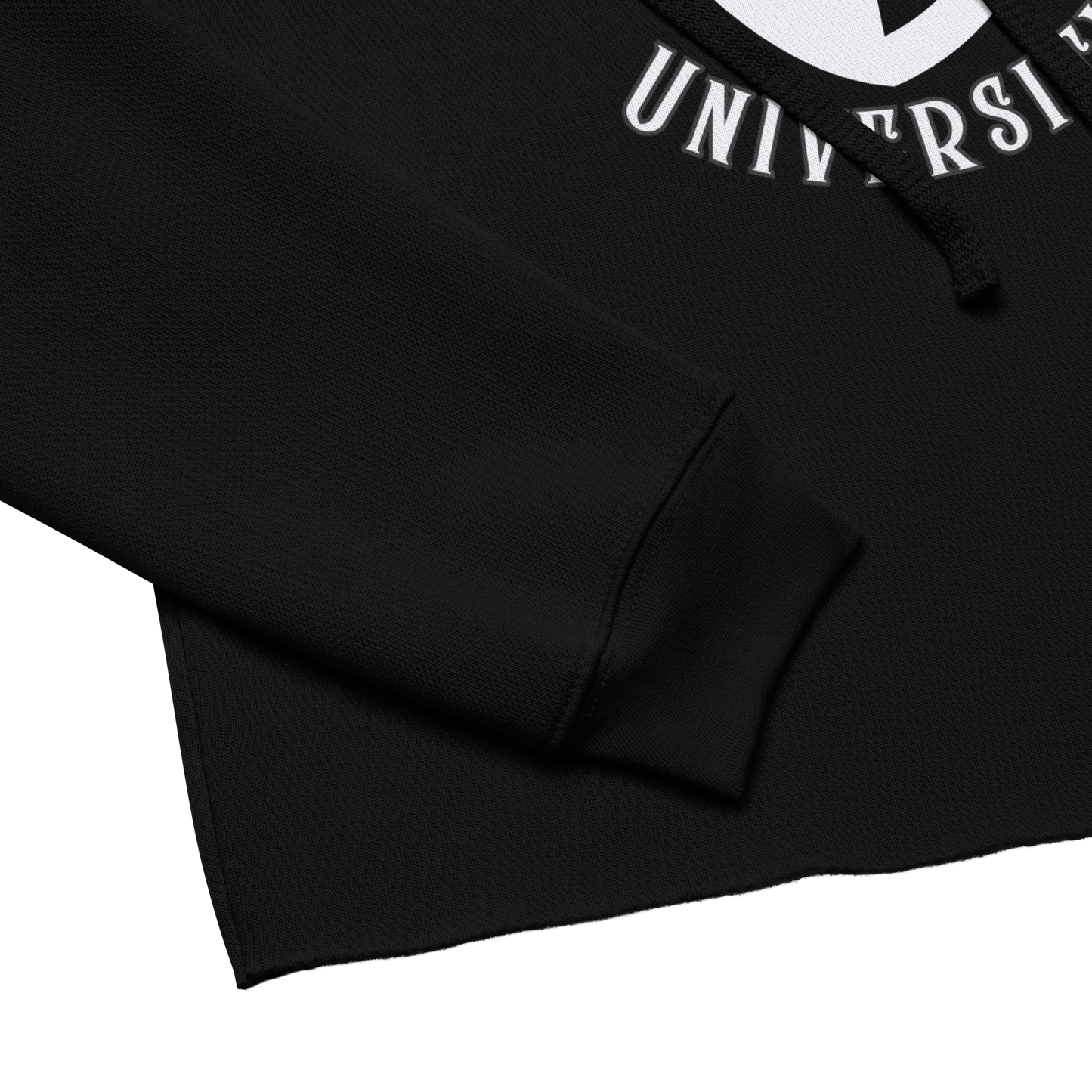 Witchy University Fleece Crop Hoodie