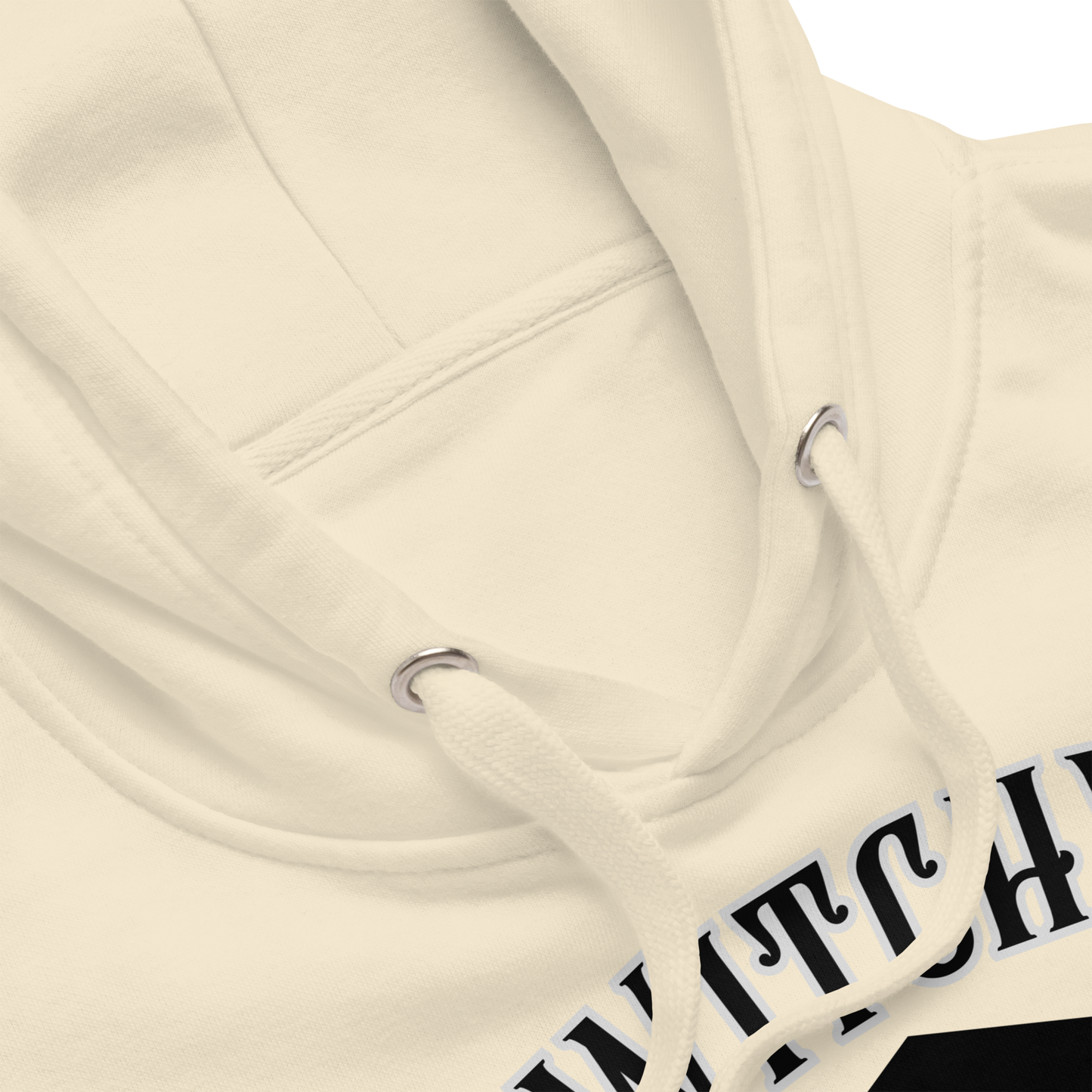 Witchy University Unisex Premium Hoodie