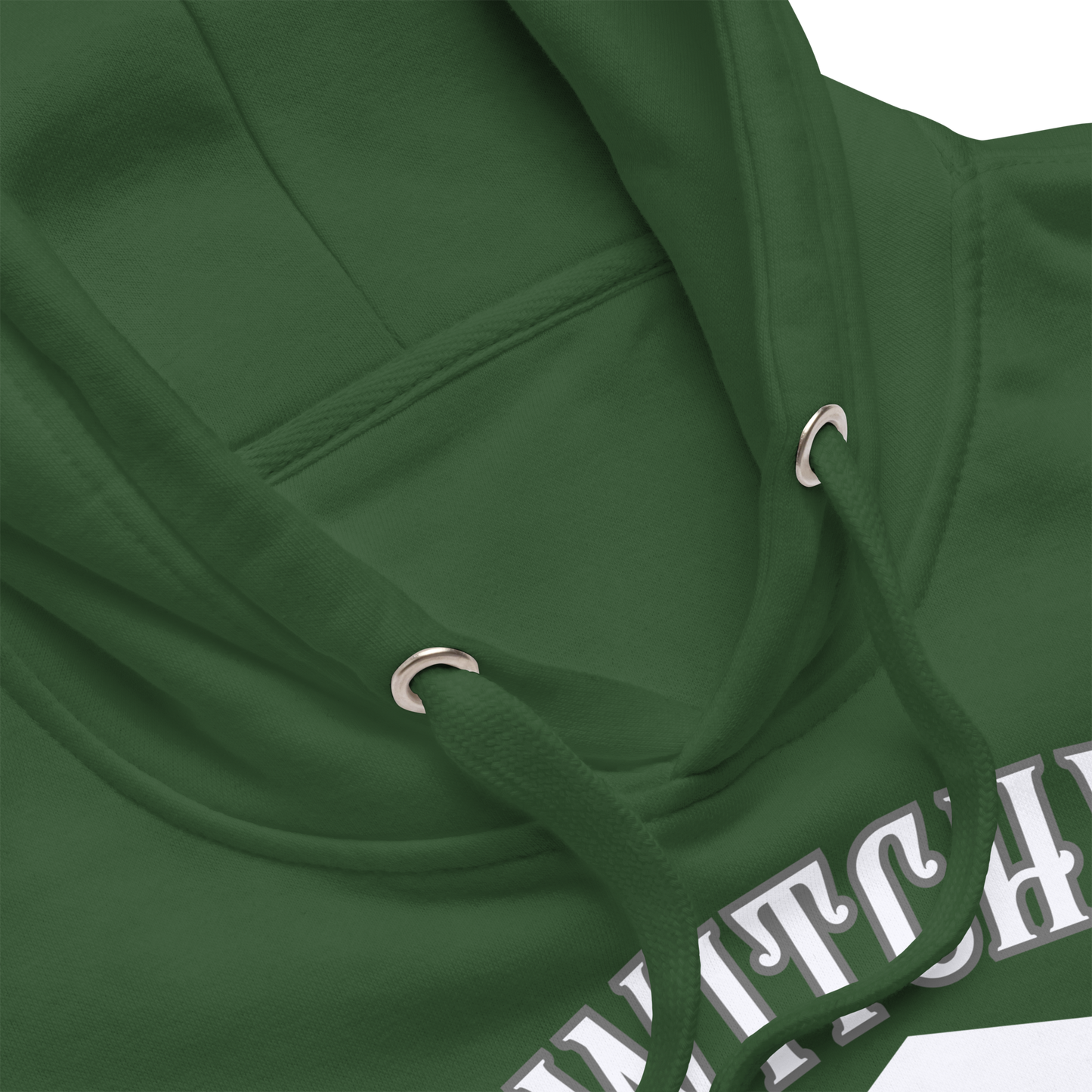 Witchy University Unisex Premium Hoodie