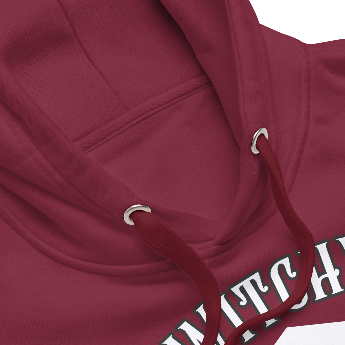 Witchy University Unisex Premium Hoodie