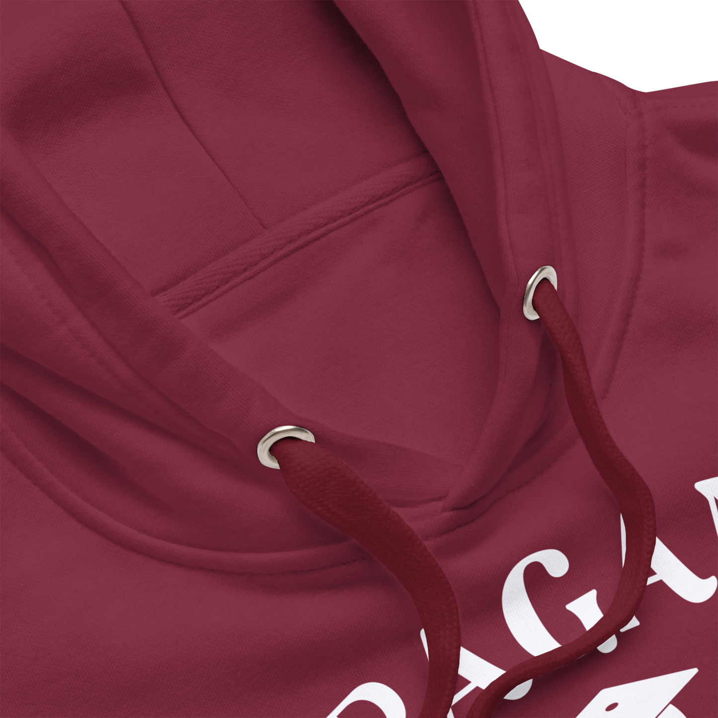 Pagan University Unisex Premium Hoodie