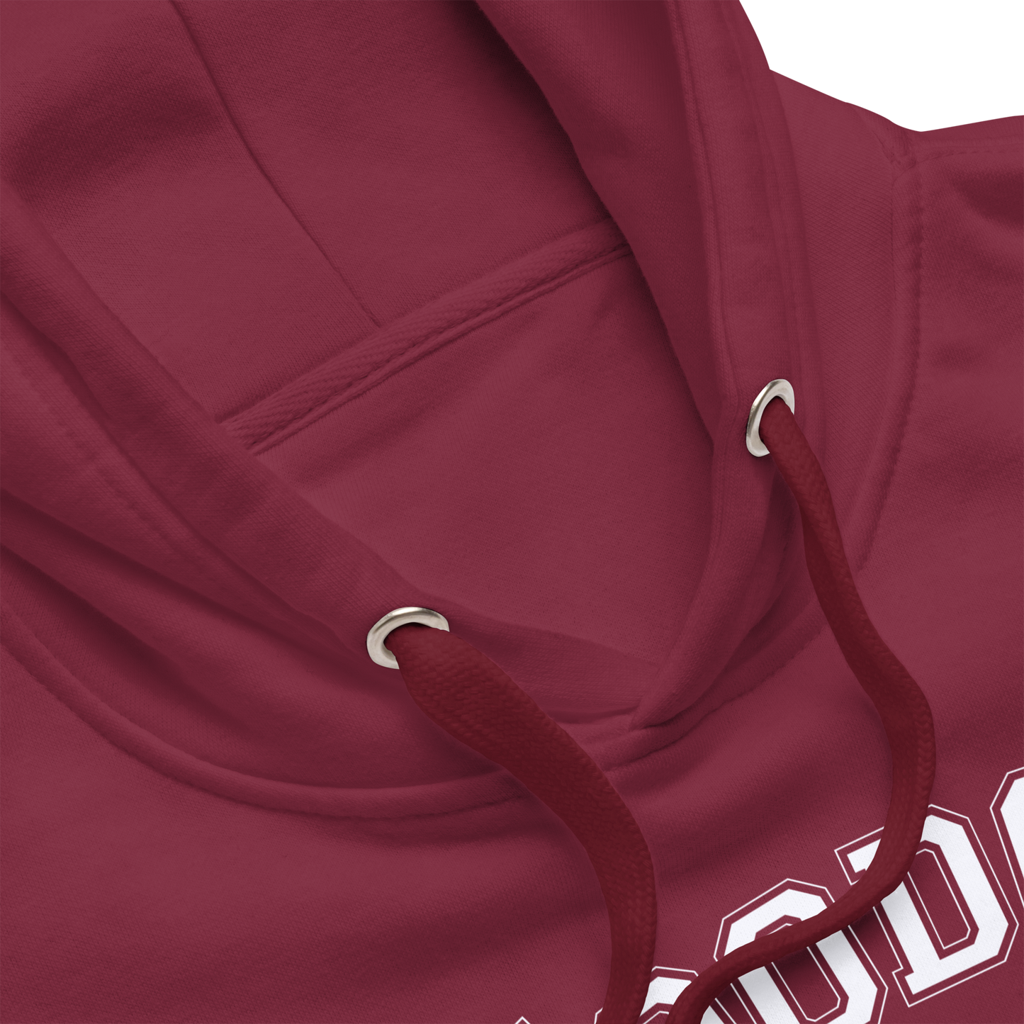 Voodoo University Unisex Premium Hoodie