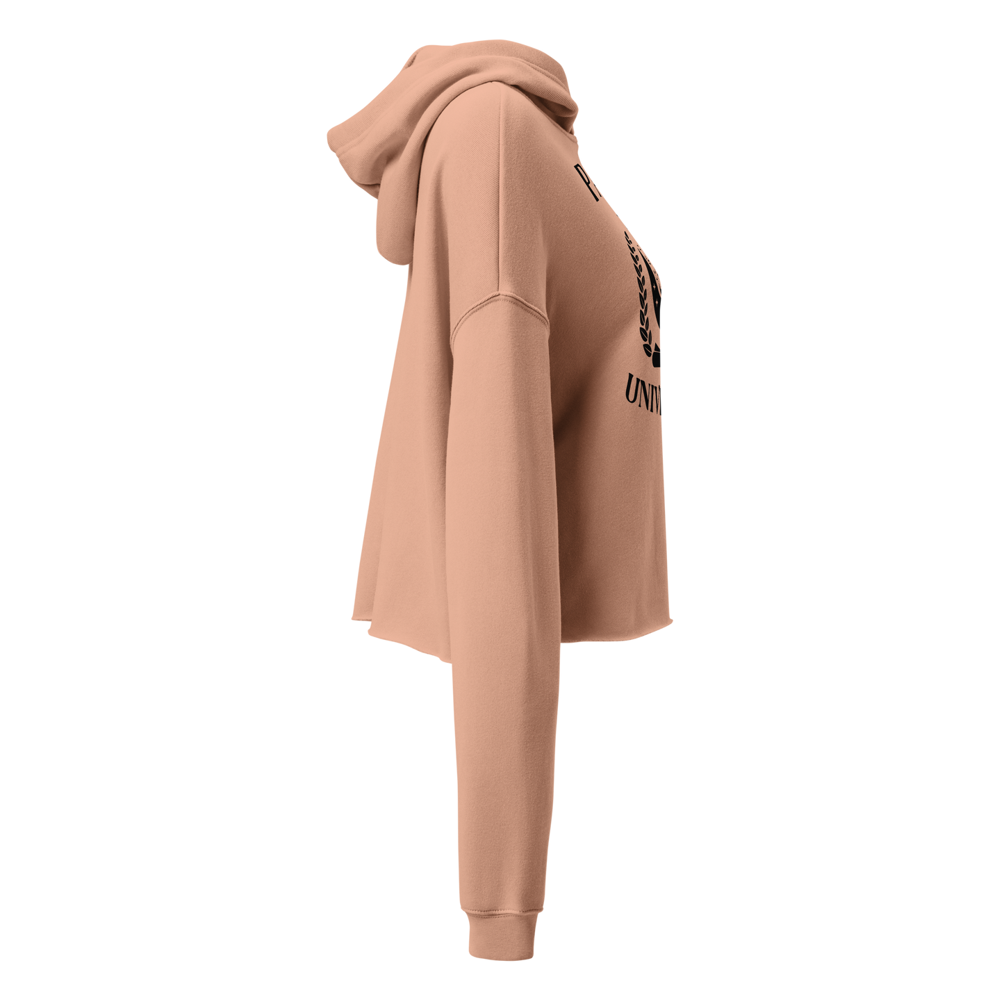Pagan University Fleece Crop Hoodie