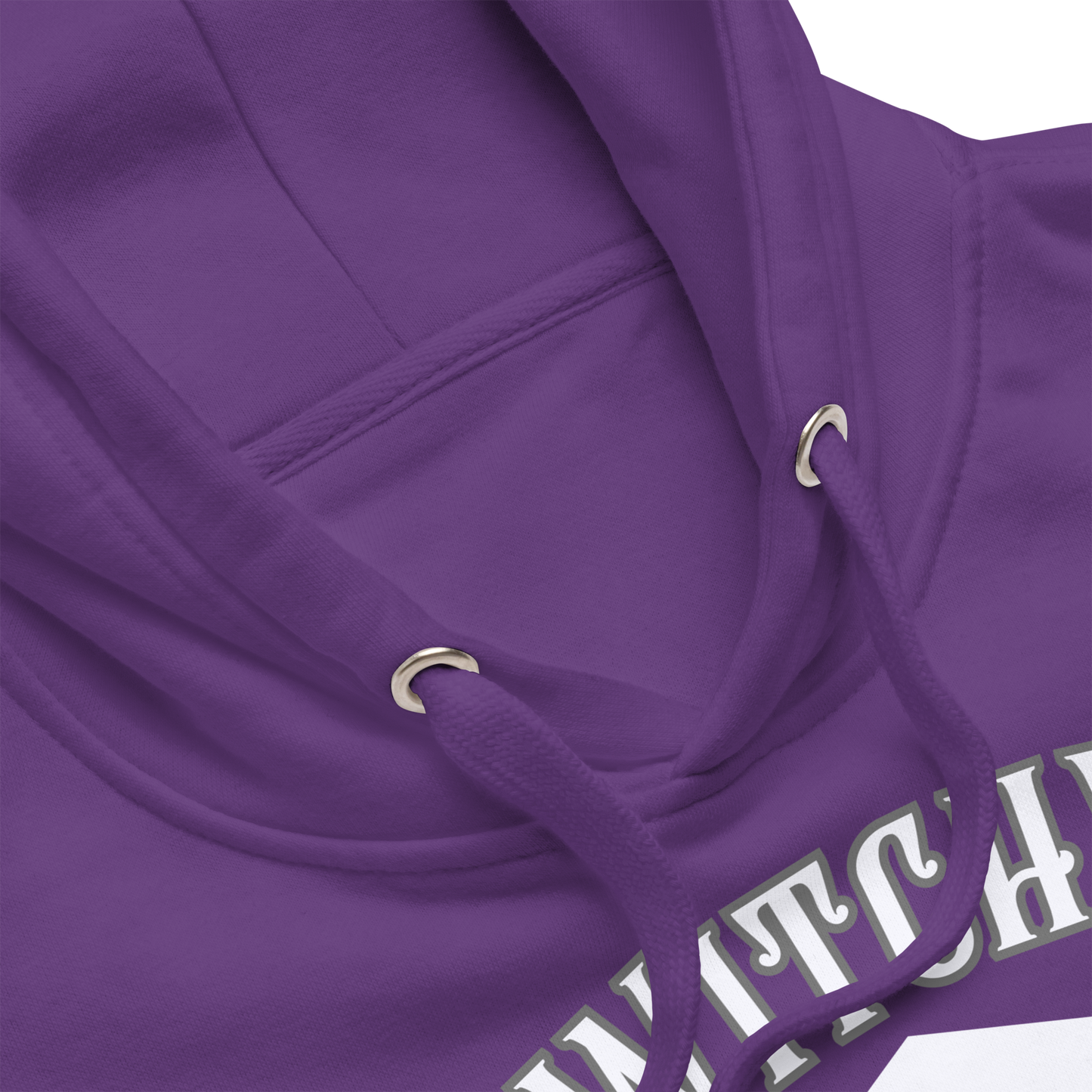 Witchy University Unisex Premium Hoodie