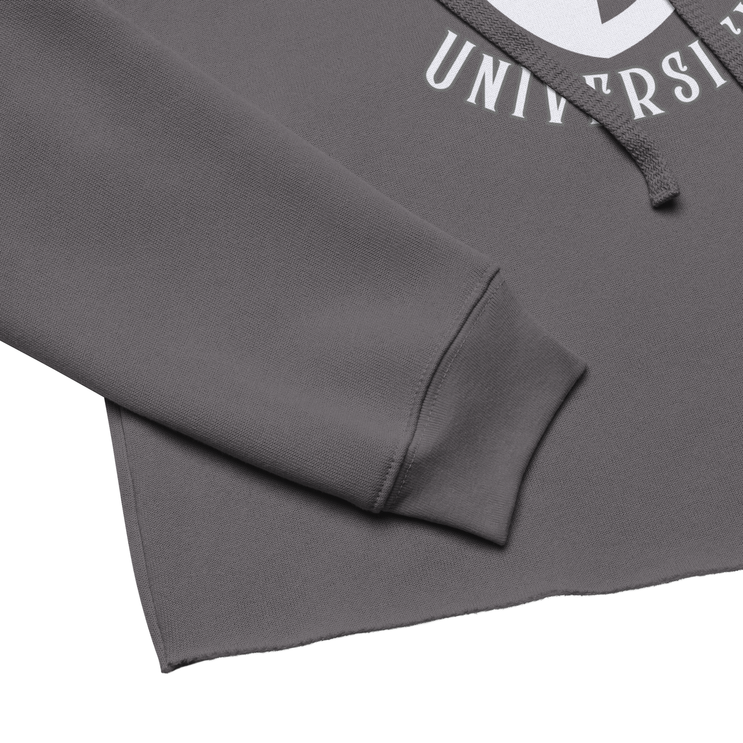 Witchy University Fleece Crop Hoodie