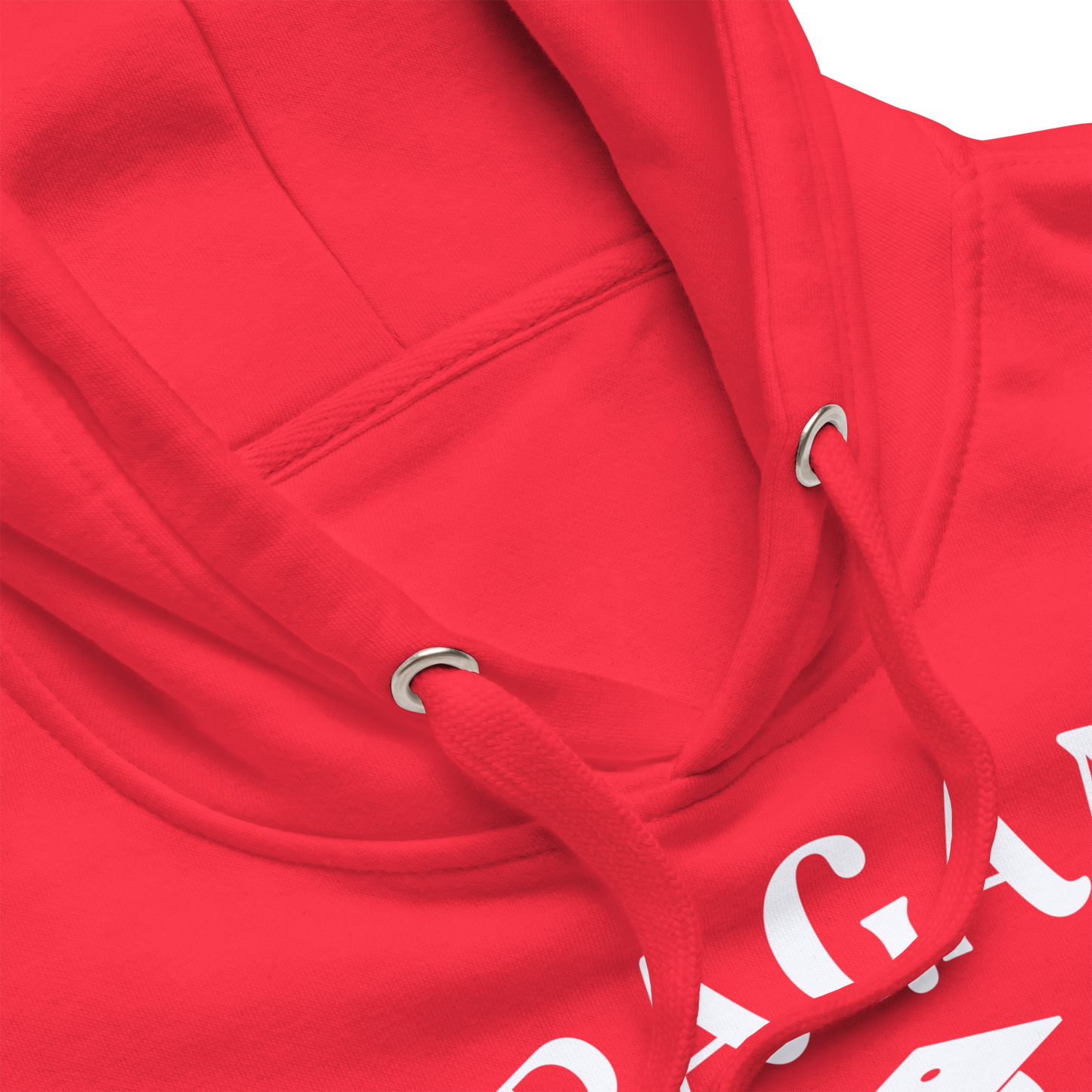 Pagan University Unisex Premium Hoodie