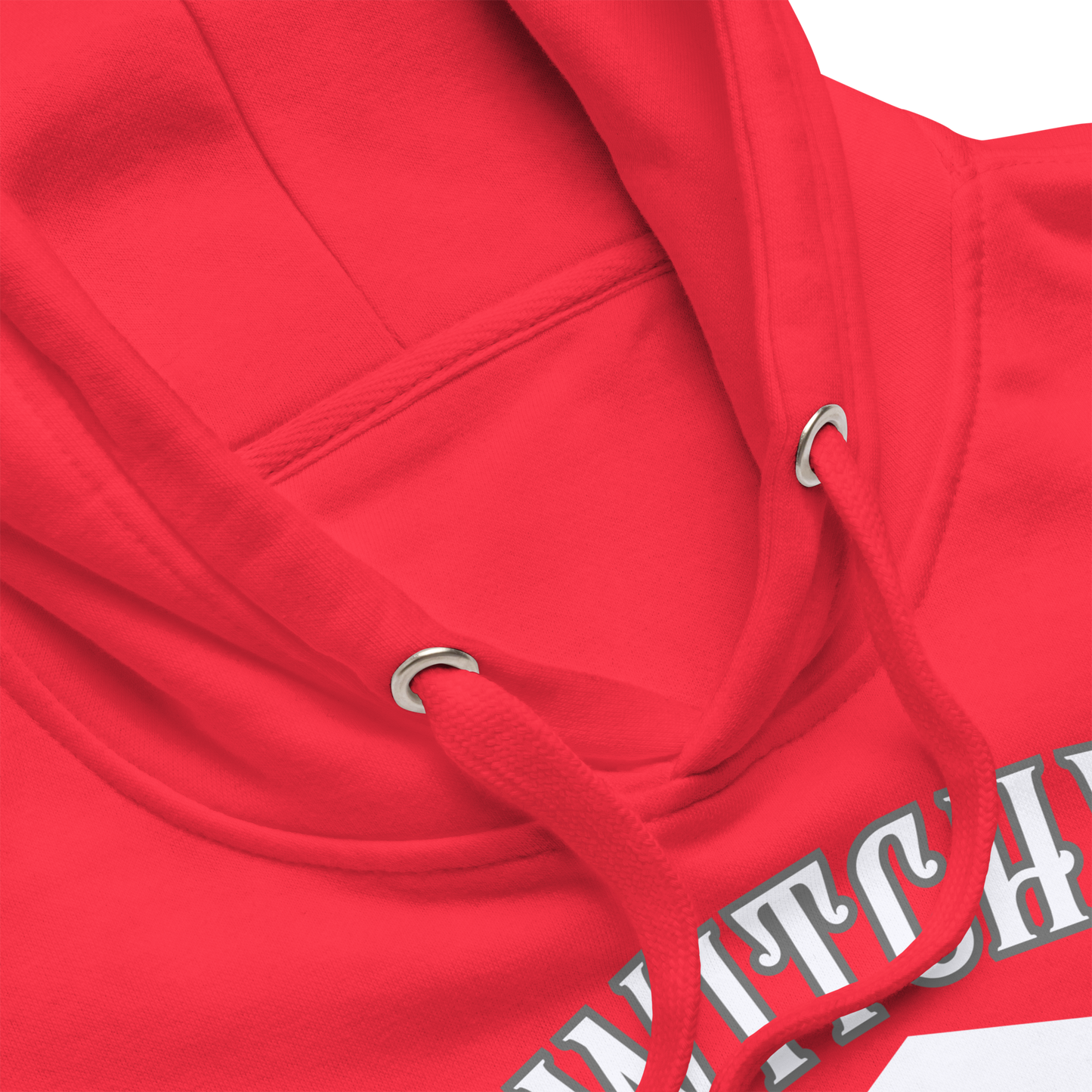 Witchy University Unisex Premium Hoodie