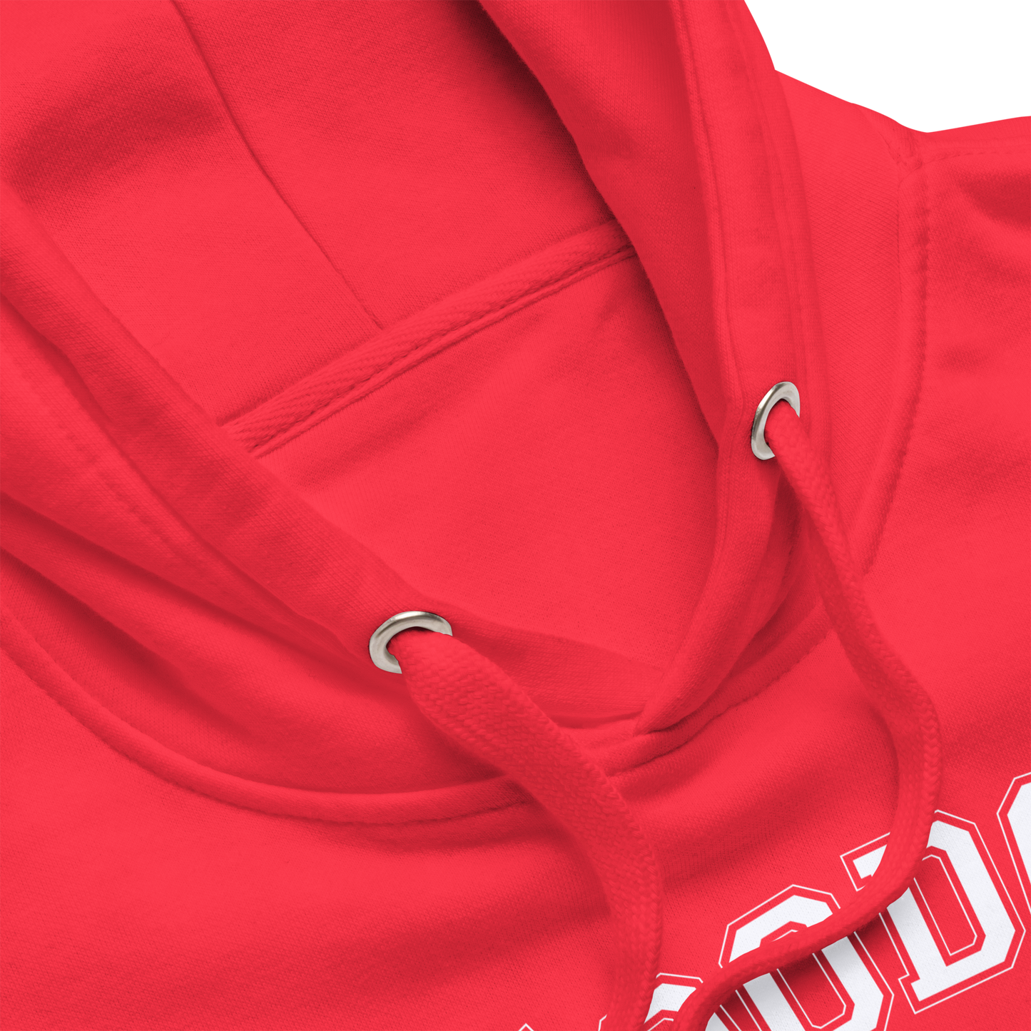 Voodoo University Unisex Premium Hoodie