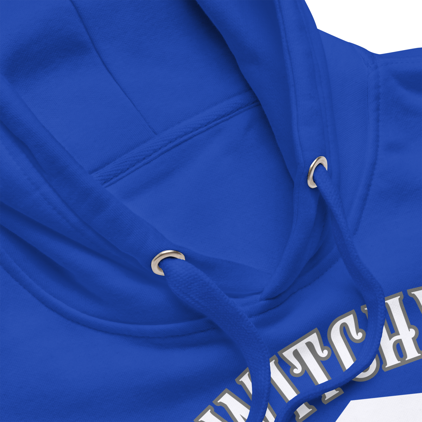 Witchy University Unisex Premium Hoodie
