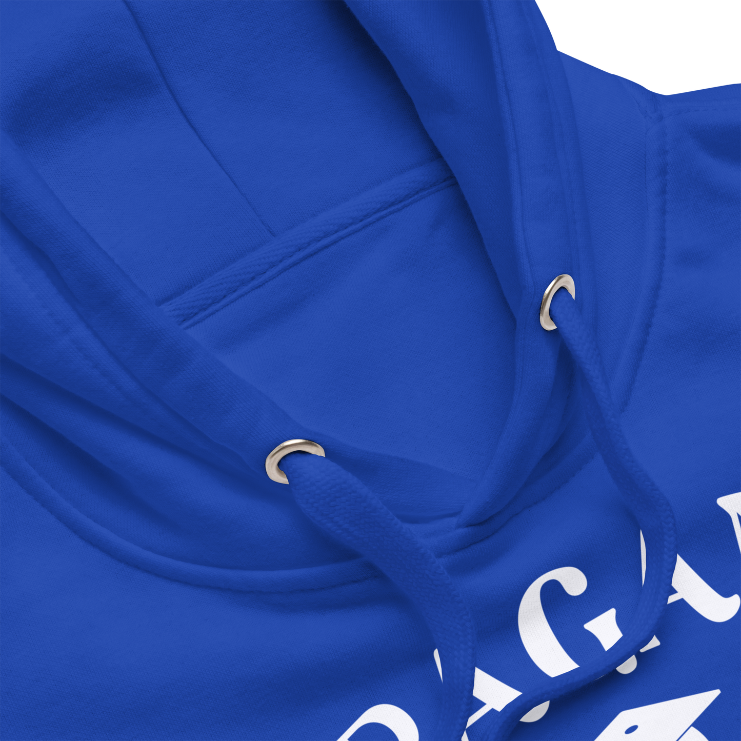 Pagan University Unisex Premium Hoodie