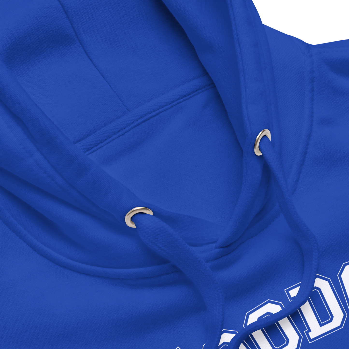 Voodoo University Unisex Premium Hoodie